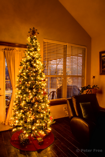 Picture of Christmas tree with lights in living room with empty armchair.